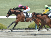 阪神4R　未勝利　カルテシウス