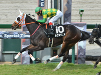 阪神9R　君子蘭賞（1勝クラス）　ルクスジニア
