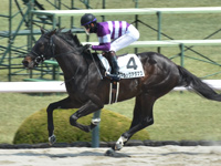 阪神2R　未勝利　ブラックアダマス