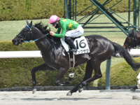 阪神3R　未勝利　ザックザク