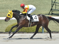 阪神5R　1勝クラス　テスティモーネ