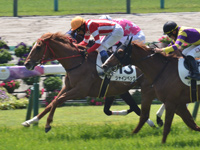京都3R　未勝利　シャインベック