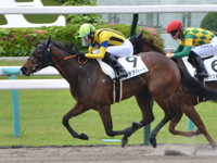 京都1R　未勝利　ステアハート