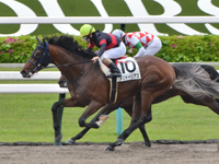 京都2R　未勝利　メリトーリアス