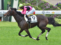京都5R　未勝利　ライトトラック