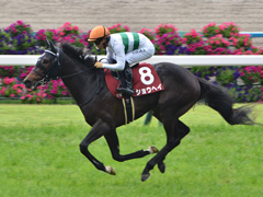 第73回 京都新聞杯（ＧII）　ショウヘイ