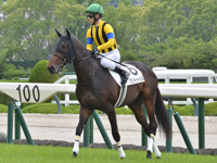 1600m芝　本馬場入場