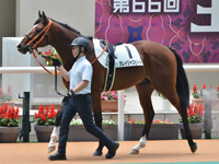 1600m芝　パドック