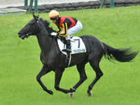 新馬　キャンター