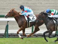 新馬　ゴール前