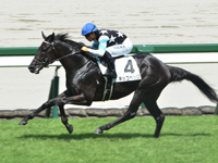 新馬　ゴール前