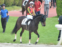 未勝利　本馬場入場