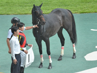 未勝利　口取り