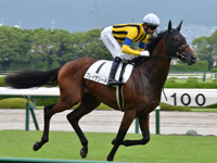 新馬　キャンター