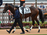 新馬　パドック