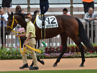 新馬　パドック