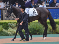 未勝利　パドック