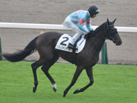 未勝利　キャンター