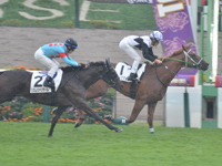 未勝利　ゴール前（外2着）