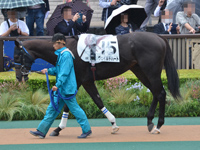 新馬　パドック