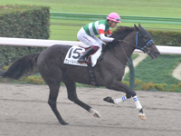 新馬　キャンター