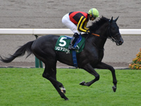 第11回 サウジアラビアロイヤルカップ （GIII）　キャンター