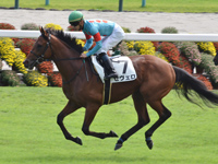 新馬　キャンター