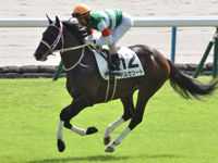 新馬　キャンター