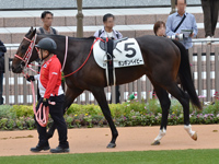 未勝利　パドック
