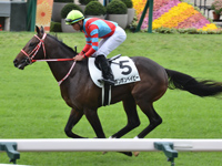 未勝利　キャンター