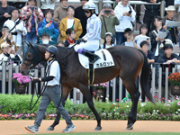 未勝利　パドック（騎乗周）