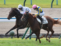 未勝利　直線（内2着）