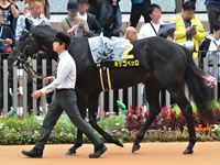 萩ステークス（L）　パドック