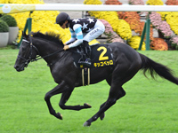 萩ステークス（L）　キャンター