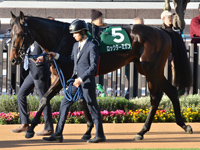 第12回 京都2歳ステークス （GIII）　パドック