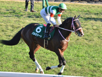 第12回 京都2歳ステークス （GIII）　キャンター