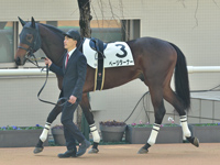 新馬　パドック