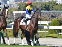 新馬　本馬場入場