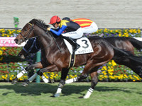 新馬　ゴール前