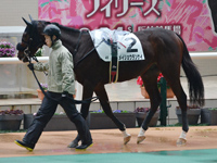 未勝利　パドック