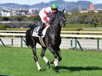 新馬　キャンター