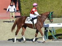 新馬　本馬場入場