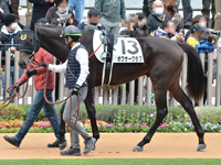 新馬　パドック