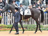 新馬　パドック