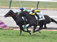 新馬　ゴール前（外2着）