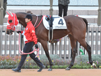 未勝利　パドック