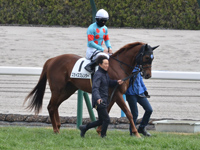 1勝クラス　本馬場入場