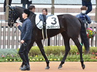 1勝クラス　パドック