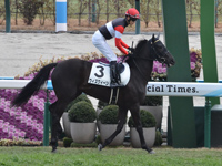 1勝クラス　本馬場入場