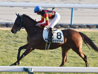 未勝利　キャンター